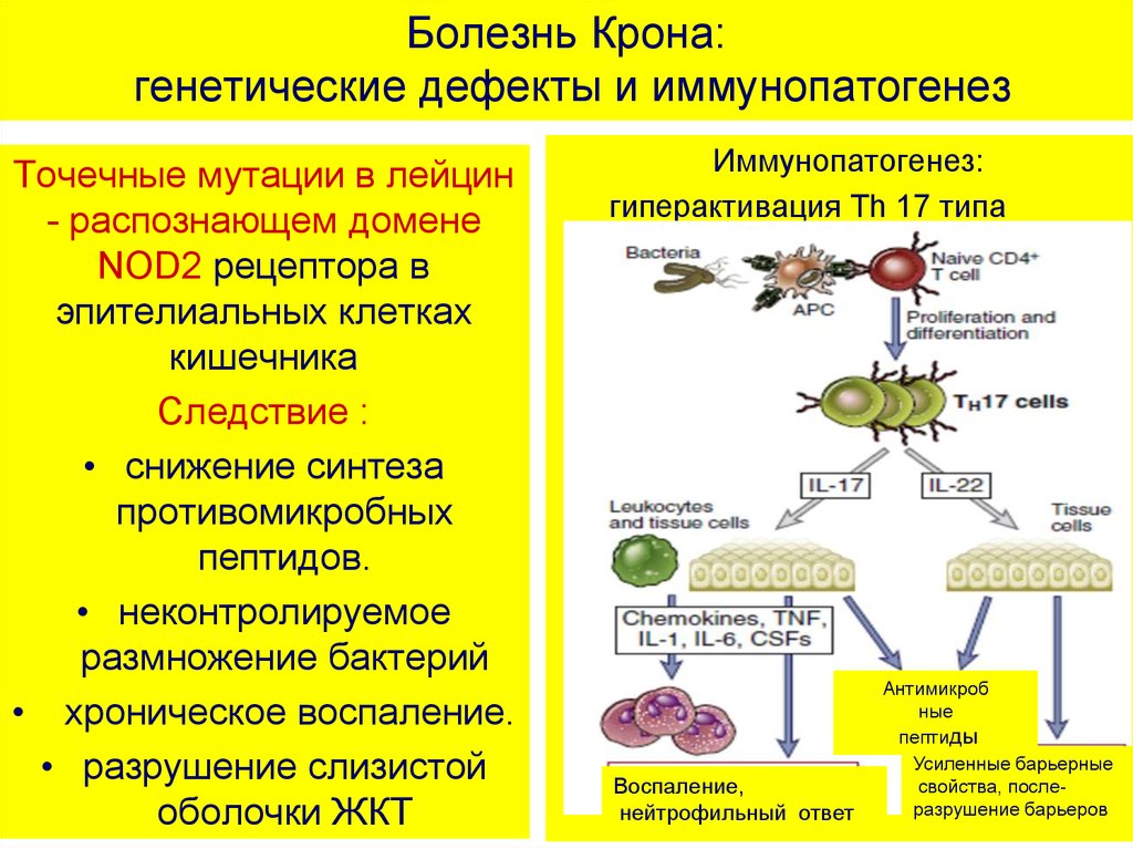 Аутоиммунные заболевания диагностика и лечение руководство для врачей москалев а в