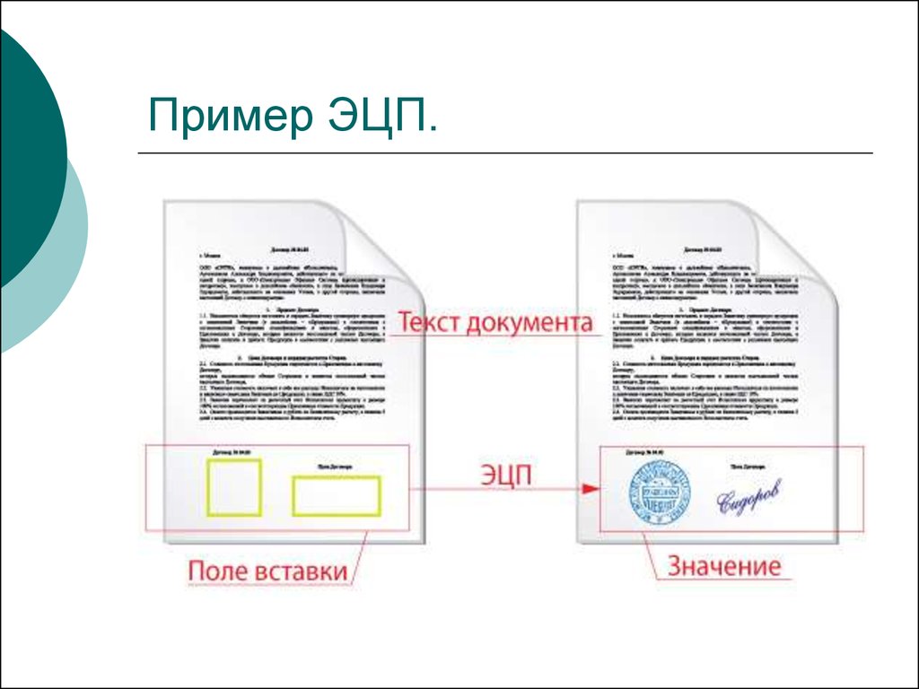 Как выглядит электронная подпись на документе образец фото