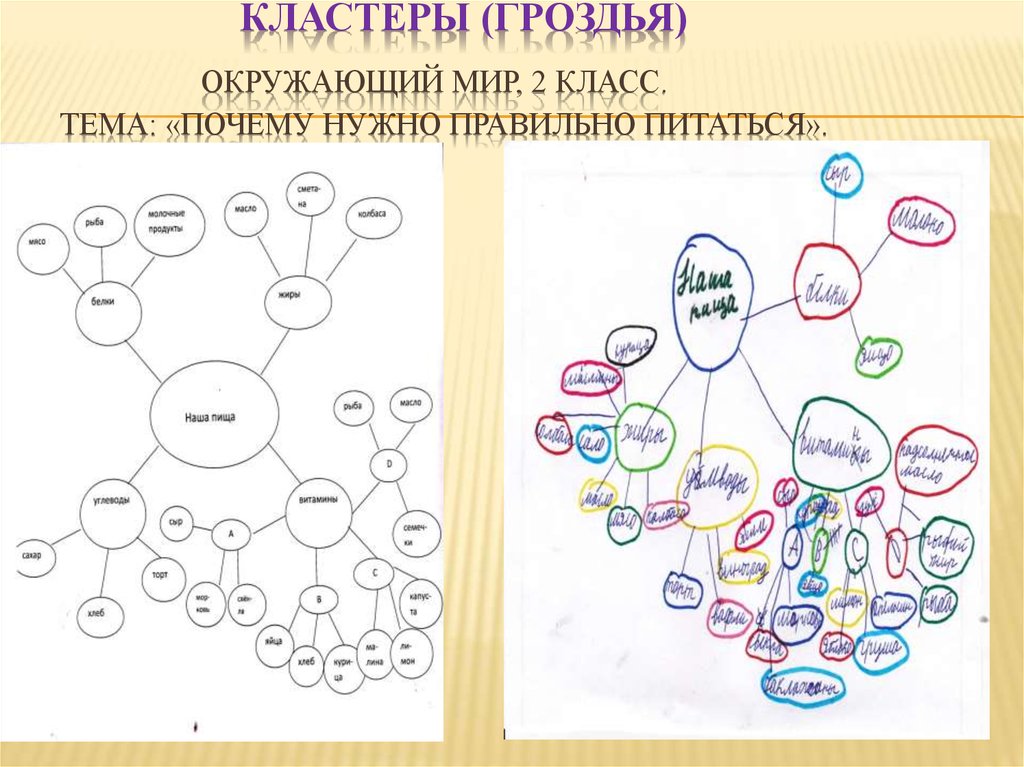 Проект развитие критического мышления младших школьников