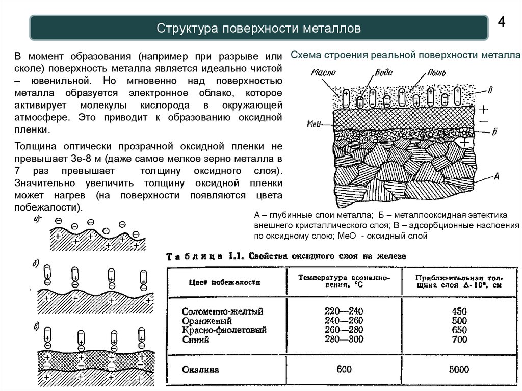 Толщина железистого слоя