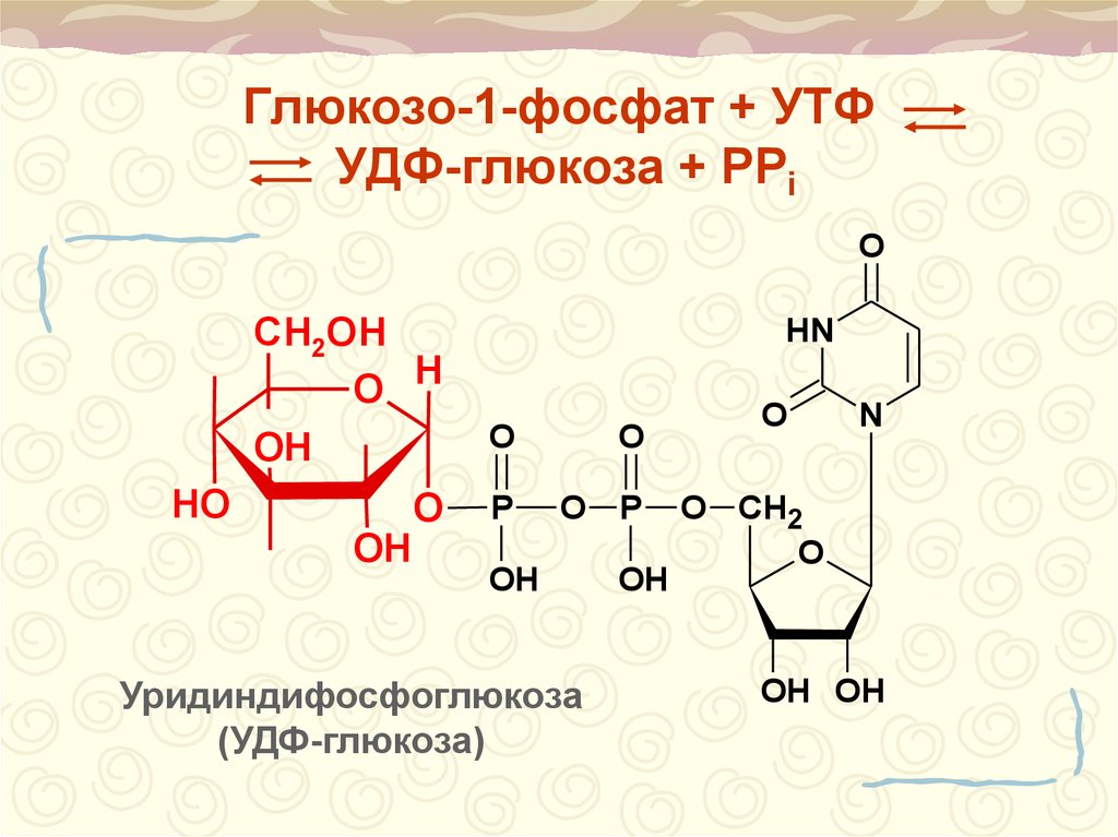 Удф глюкоза. Глюкозо-1-фосфат+УТФ-УДФ. Глюкозо глюкозо 1 фосфат УДФ Глюкоза. УДФ-Глюкоза биологическая роль биохимия. Глюкозо 1 фосфат УТФ.