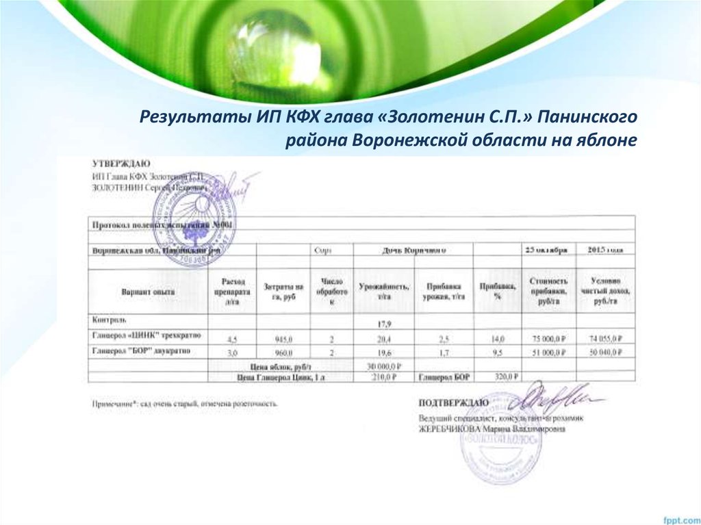 Программа ведения крестьянского фермерского хозяйства образец в рб