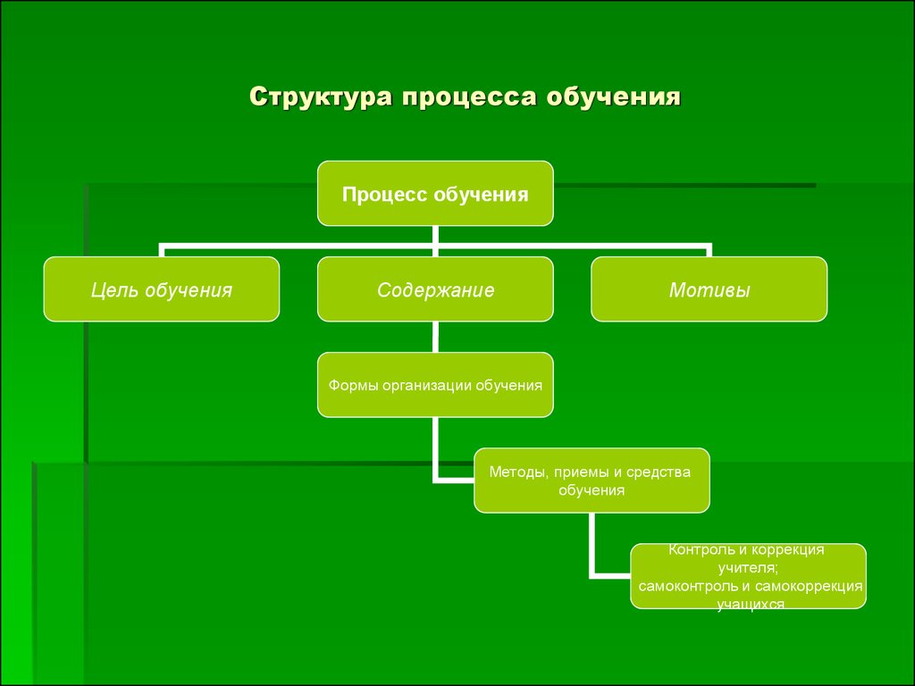 Какие структуры и процессы. Структура процесса обучения схема. Структура процесса обучения в педагогике схема. Структура современного процесса обучения. Назовите структуру процесса обучения.