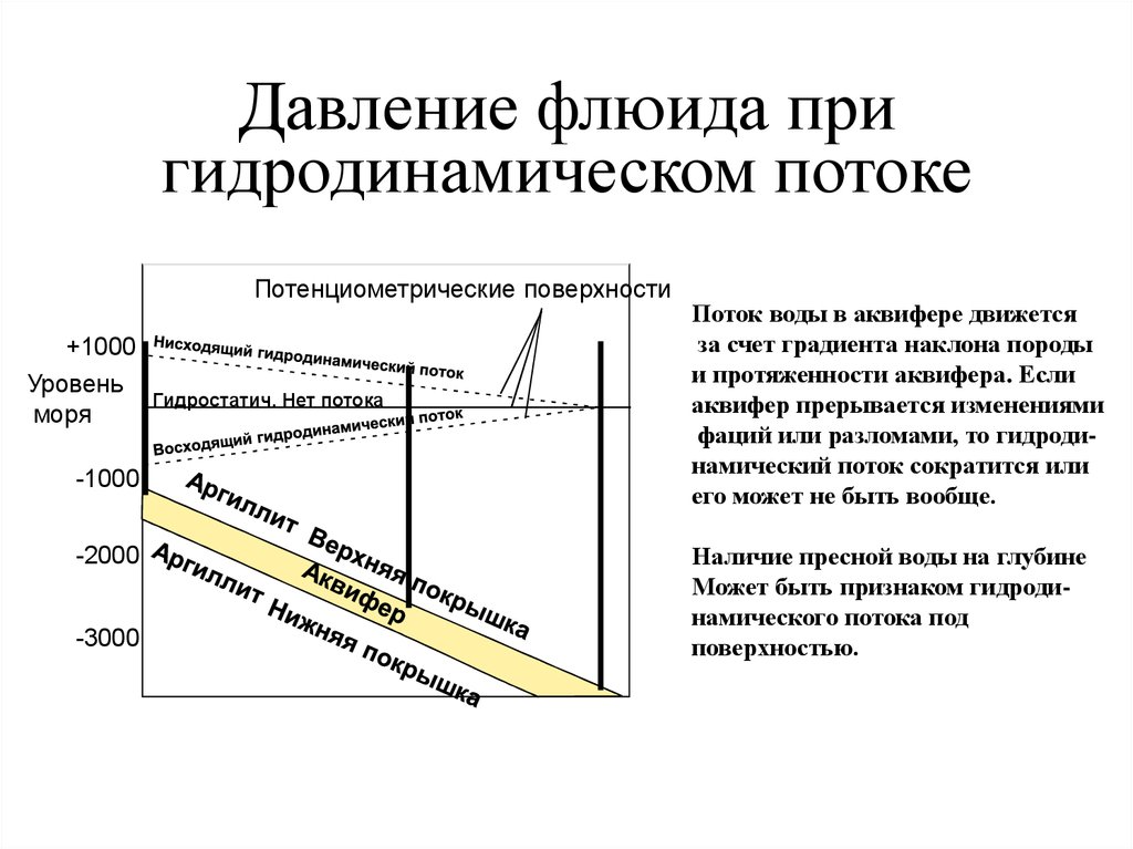 Гидродинамика поток