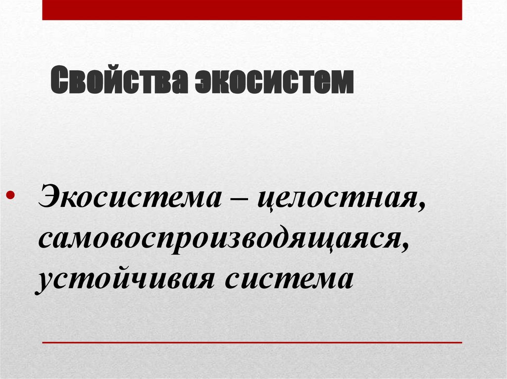 Экосистема устойчивость и динамика 11 класс презентация