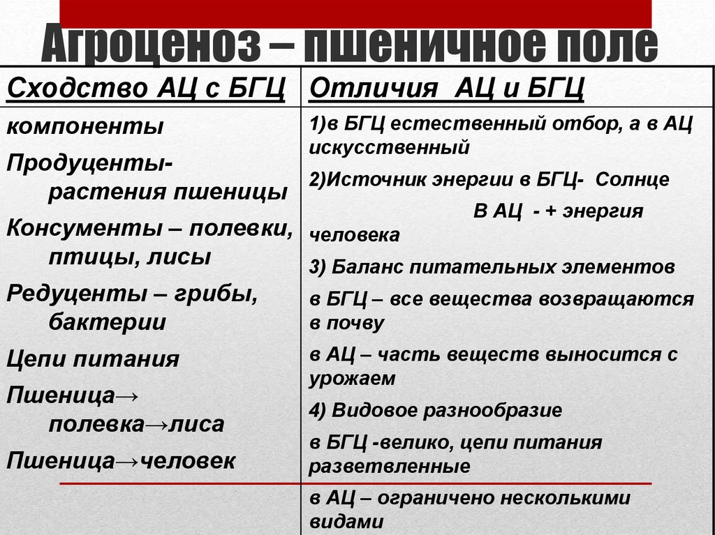 Поле сравнения. Сходства и различия агроценоза и биоценоза. Характеристика агроценоза пшеничного поля таблица. Характеристика агроценоза таблица. Сравнительная характеристика Луга и поля.