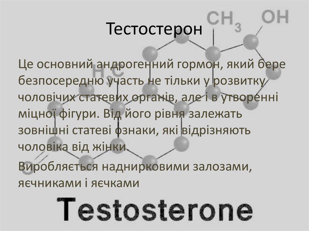 Тестостерон