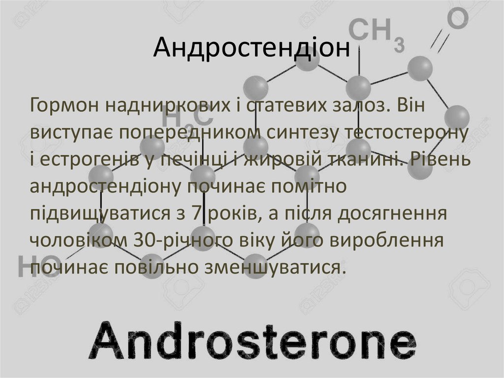 Чоловічі гормони - презентация онлайн