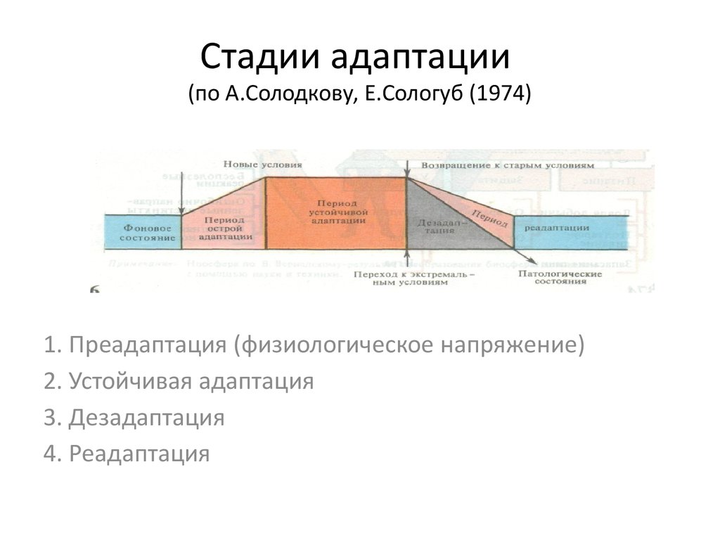 Обмен веществ адаптация