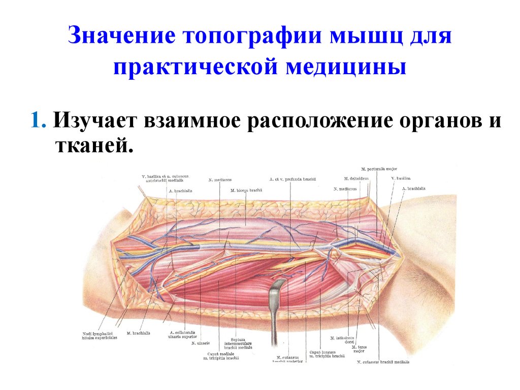 Топография это фото