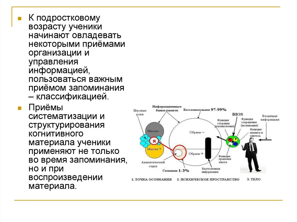 Мотивация доминирования