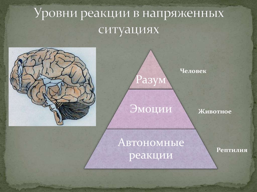 Уровень реакции