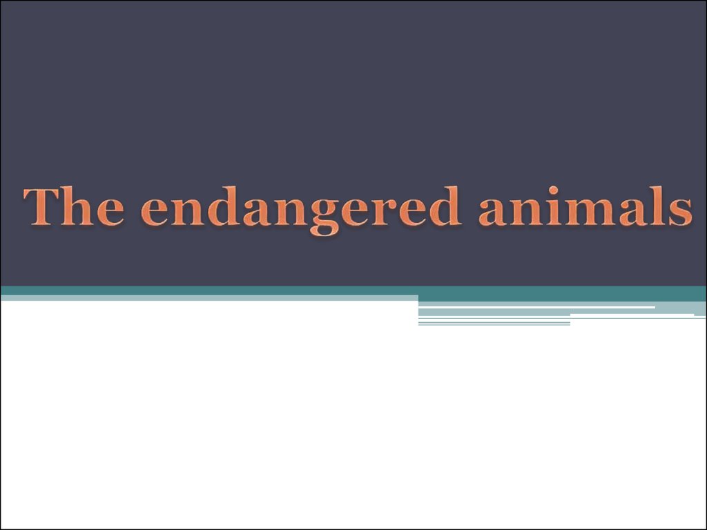 Endangered animals презентация