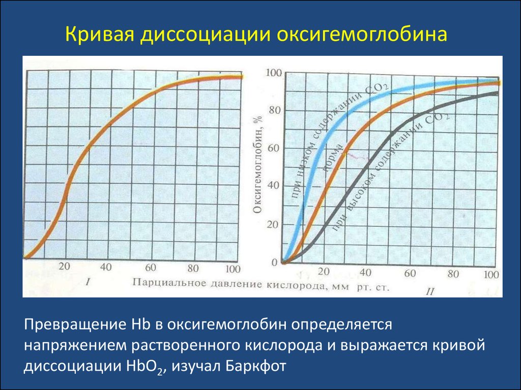 Диссоциация оксигемоглобина