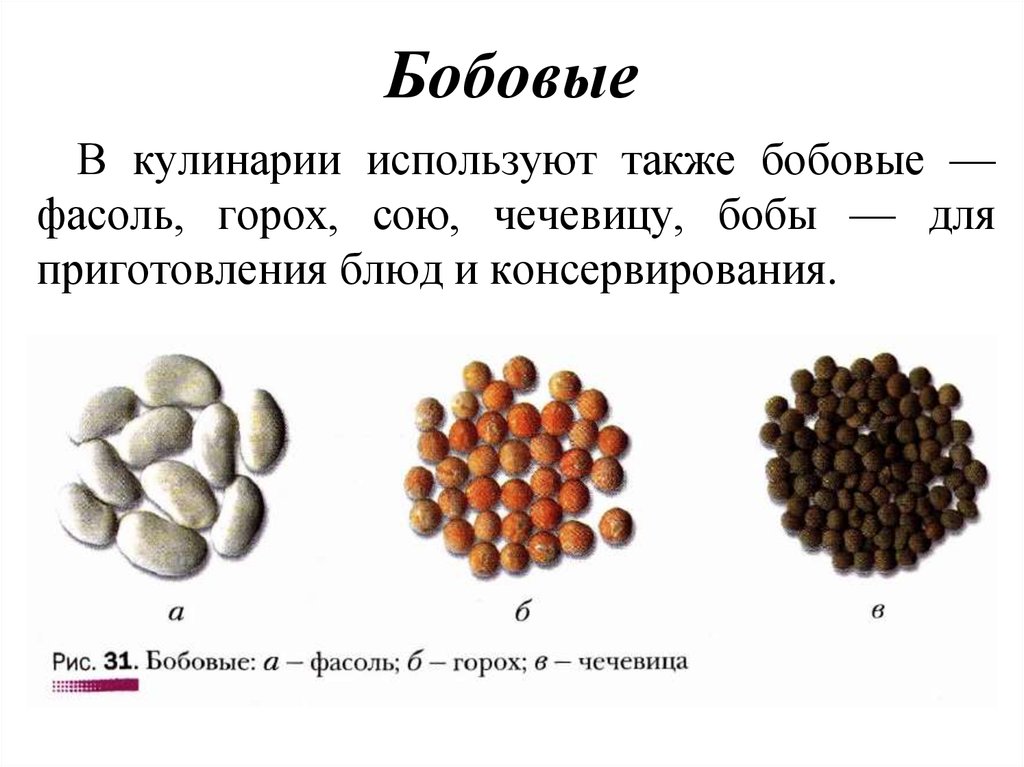 Блюда из круп и макаронных изделий 6 класс презентация