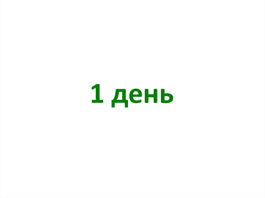 1 день