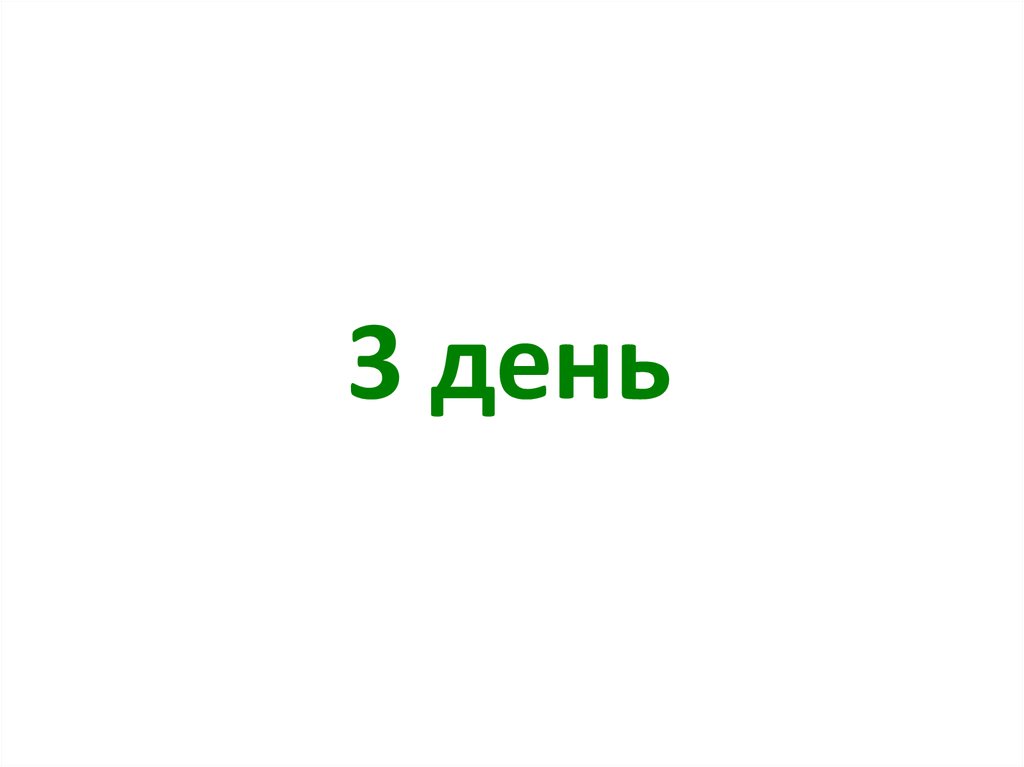 3 день