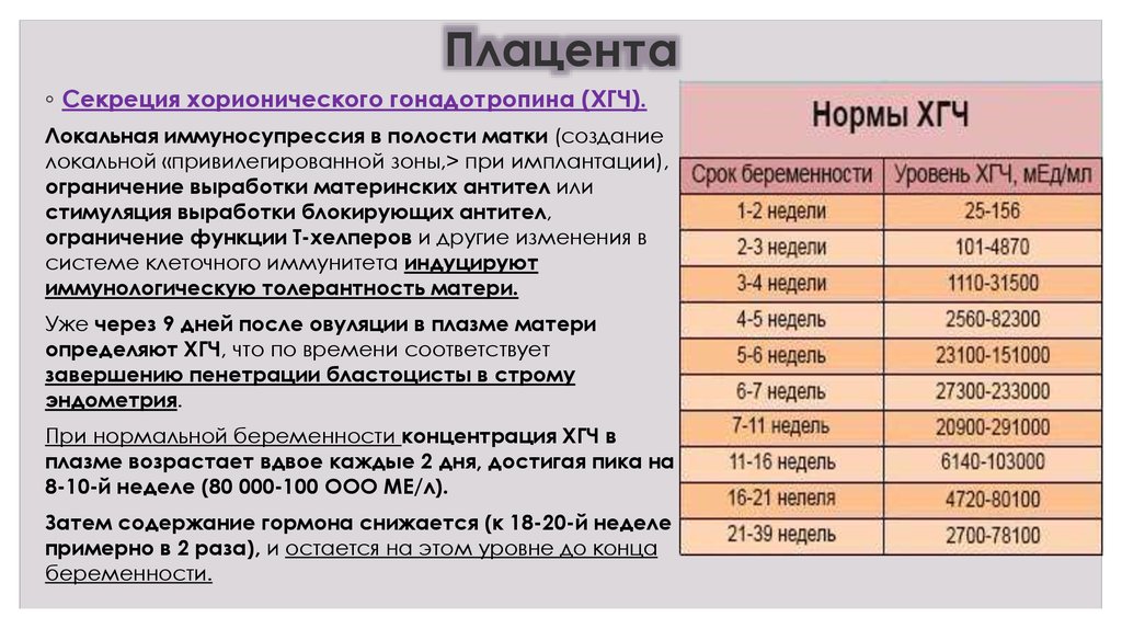 Содержание затем. Содержание затем