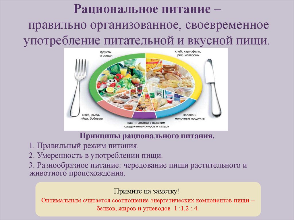 Питание пояснение. Рациональное питание режим и нормы питания. Принципы организации рационального питания. Принципы здорового и рационального питания. Принципы правильное рациональное питание.