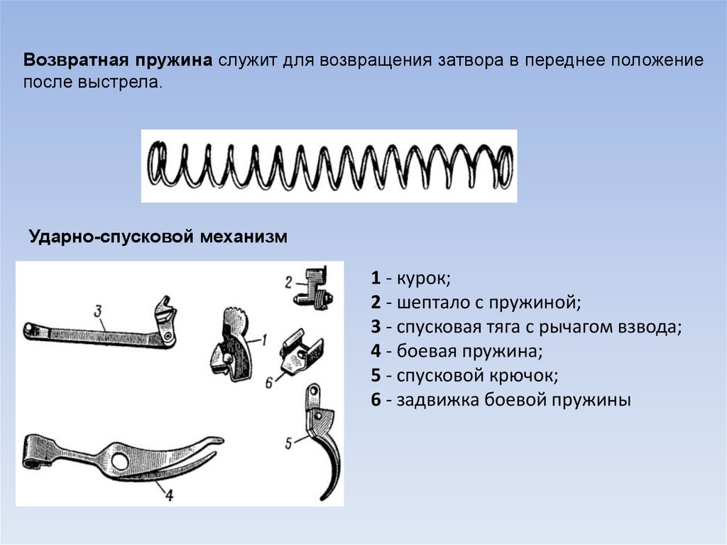 Положение пружины. Боевая пружина в пистолете Макарова служит для. Задвижка боевой пружины ПМ служит для. Назначение возвратной пружины пистолета Макарова. Назначение боевой пружины ПМ служит для.