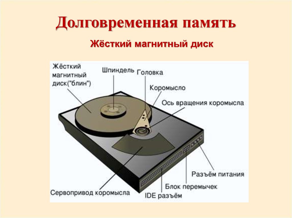 Оперативная память компьютера представляет собой последовательность пронумерованных начиная с нуля