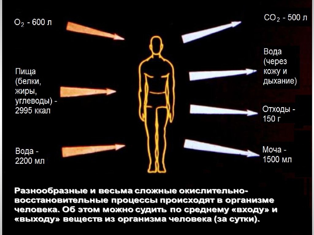 Овр в быту презентация