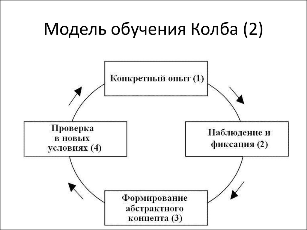 Цикл образования. Цикл колба. Модели обучения. Модель колба в обучении. Цикл колба в тренинге.