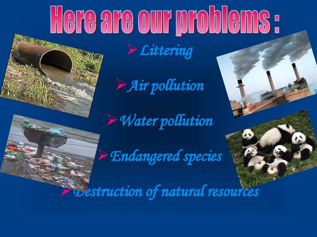 Global Problems Of Ecology 