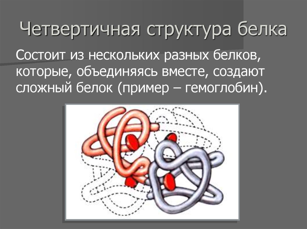 Четвертичная структура белков. Четвертичная структура белкк. Четвертичная структура белка состав. Четвертичная структура белка. Четверная структура делка.