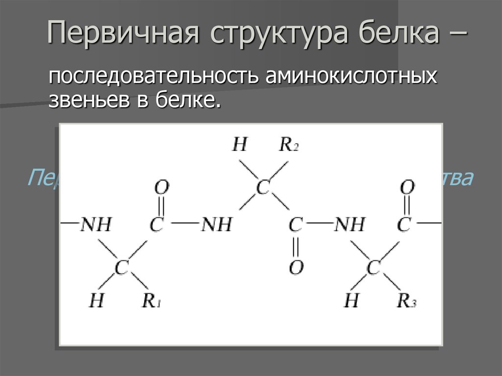 Последовательность белка. Первичная структура биополимеров. Строение биополимеров белков. Структурное звено белка. Аминокислоты структурные звенья белка.