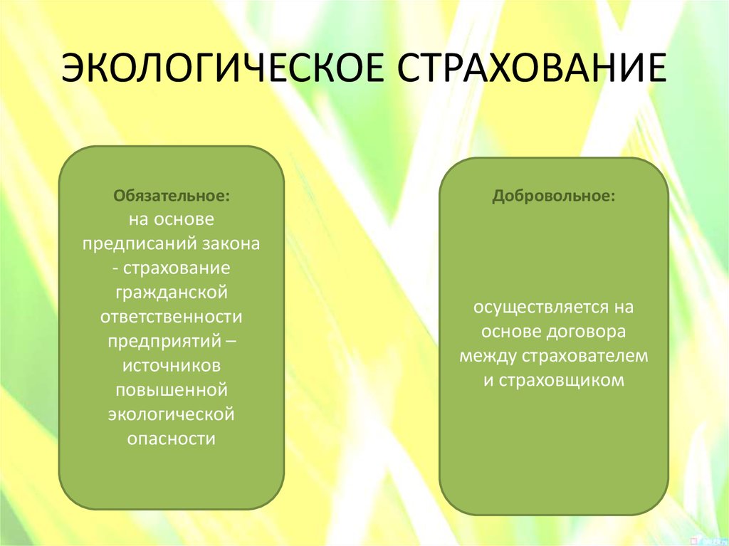 Окружающее обязательно. Экологическое страхование. Виды экологического страхования. Экологическое страхование страхование. Обязательное экологическое страхование.