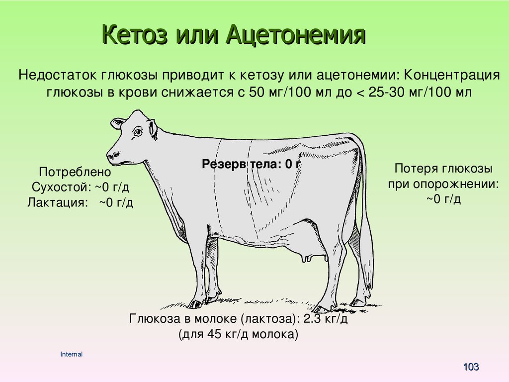 Кетоз или Ацетонемия