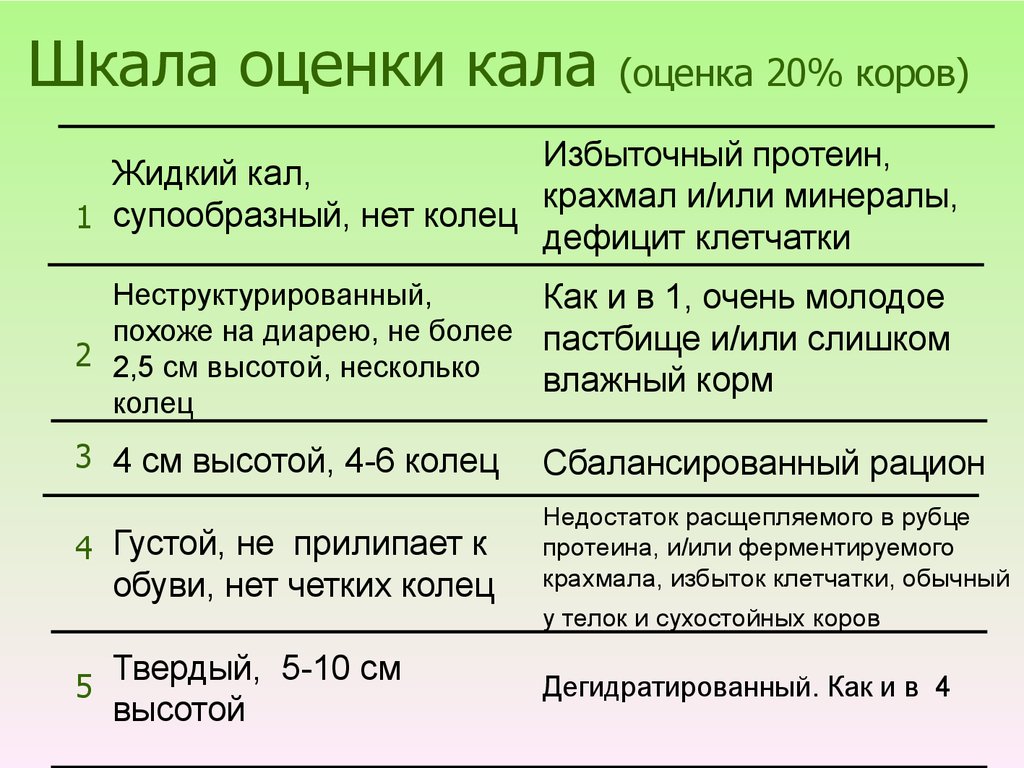 Шкала оценки кала (оценка 20% коров)