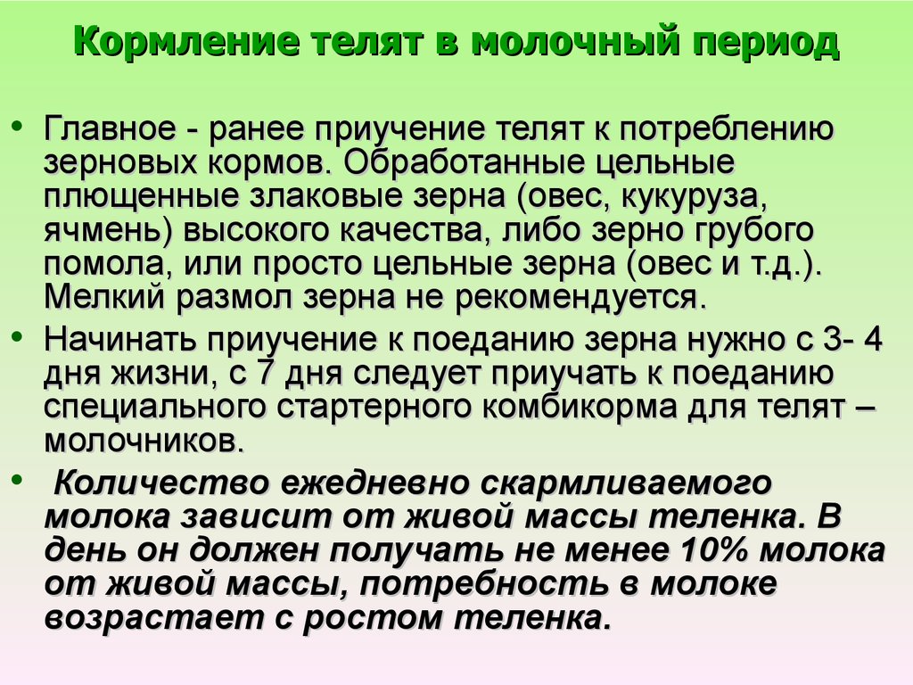 Как поить теленка после отела схема