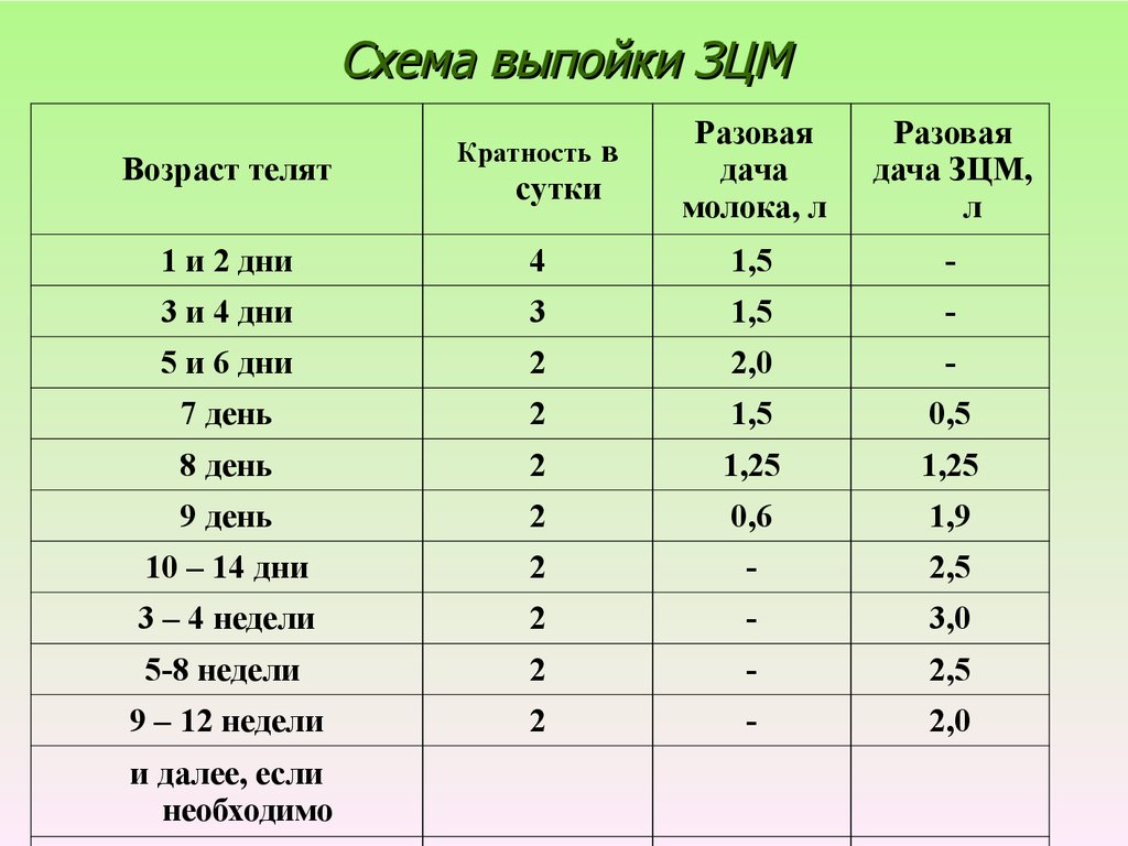 Схема выпойки ЗЦМ