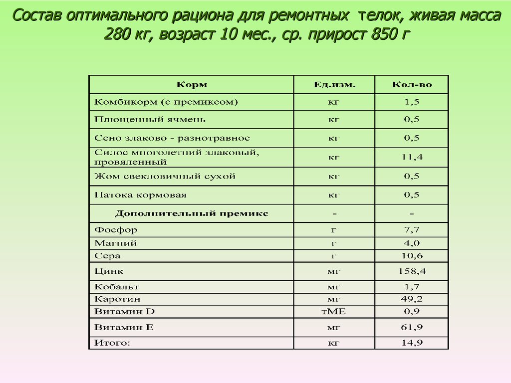 Состав оптимального рациона для ремонтных телок, живая масса 280 кг, возраст 10 мес., ср. прирост 850 г