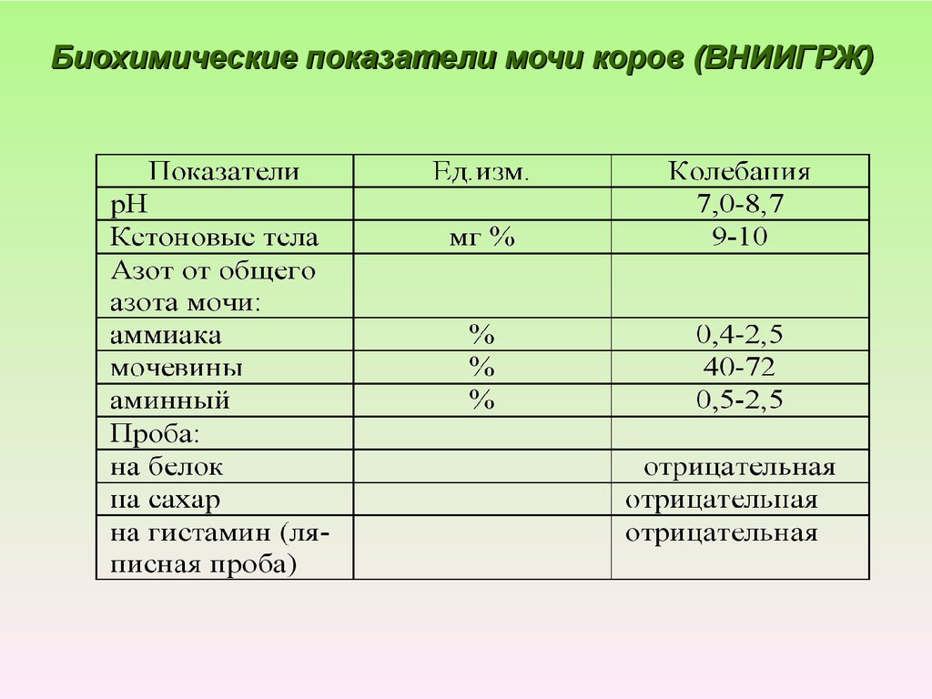 Схема клонирования высокопродуктивной коровы