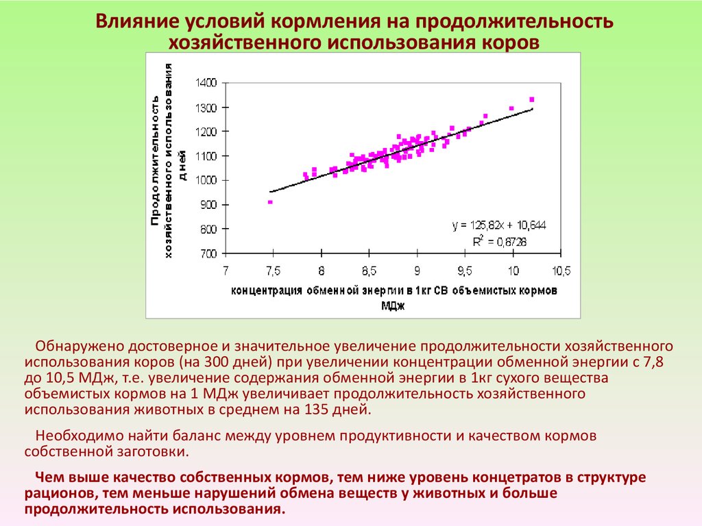 Условия кормления