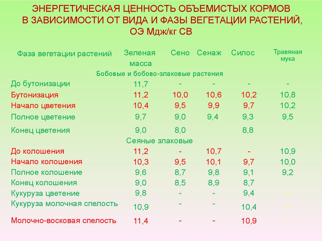 Силос кормление. Кормовая ценность кормов. Энергетическая ценность кормов. Высокопродуктивные коровы и корма. Кормовая ценность сена.