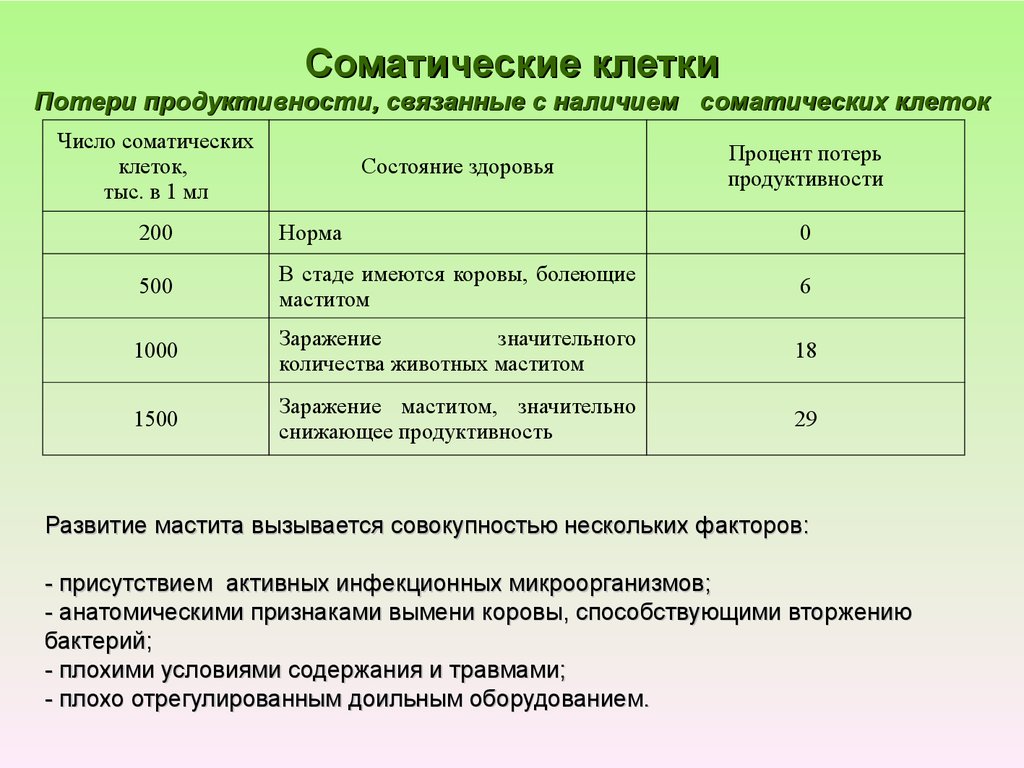 Кмафанм норма в каше