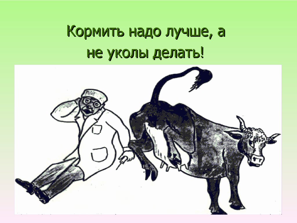 Кормить надо лучше, а не уколы делать!