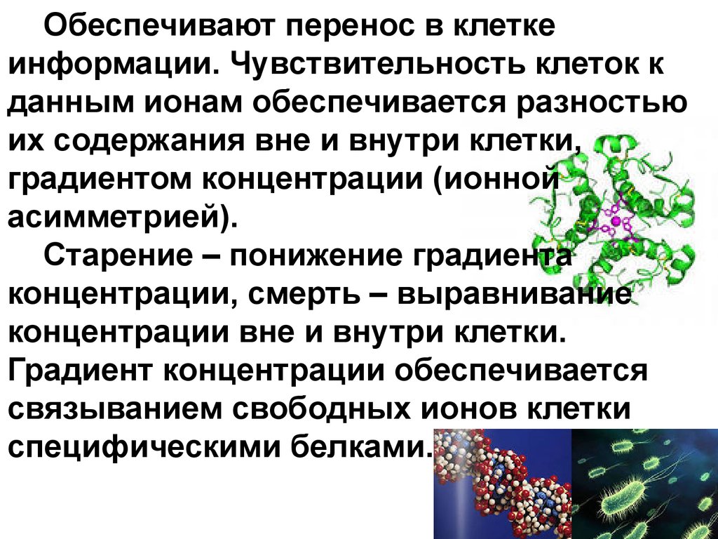 Перемещение клеток. Передача информации в клетке. Передача информации клетки обеспечивается. Биогенные элементы клетки.