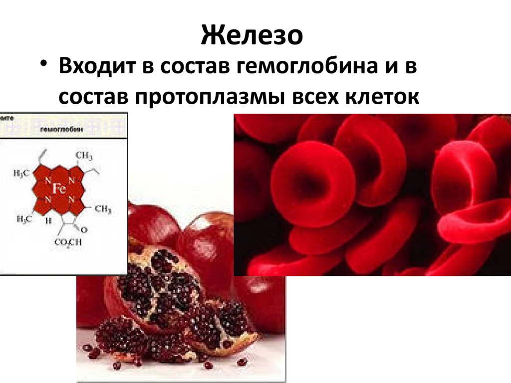 Элементы крови содержащие гемоглобин. Железо в гемоглобине. Эритроциты гемоглобин железо. Состав гемоглобина крови.