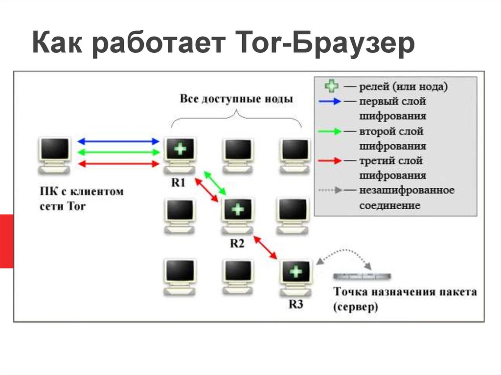 the tor network browser даркнет