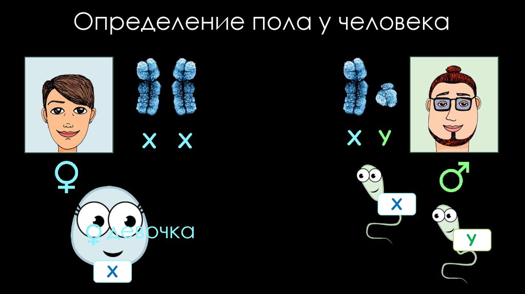 Определить пол человека по фото