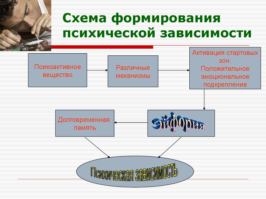 Заполните схему виды никотиновой зависимости