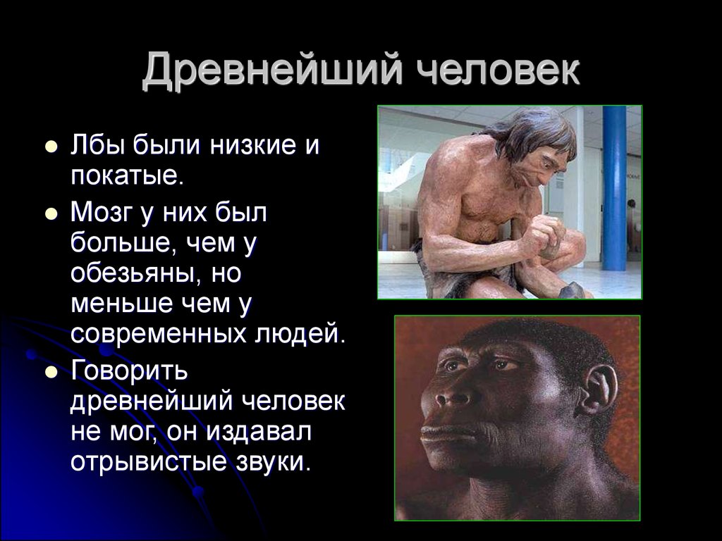 Древний человек презентация