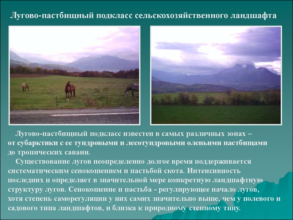Свойства ландшафтов. Лугово пастбищный ландшафт. Антропогенная динамика ландшафта. Лугово-пастбищный Тип ландшафта. Ландшафты России презентация.