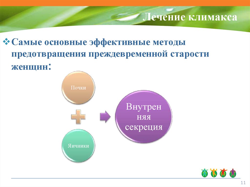 Народное лечение климакса. Методы лечения климакса. Алгоритм лечения климакса. Алгоритм лечения менопаузы. Наиболее эффективный метод лечения постменопаузы.