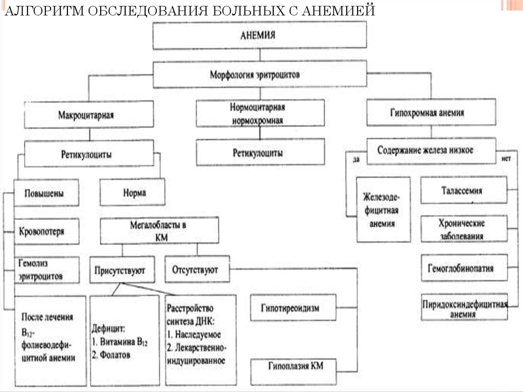 План обследования ребенка с анемией